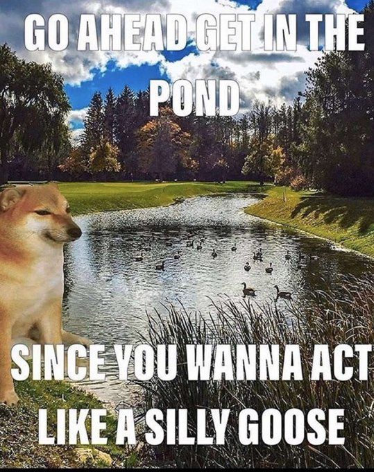 ***