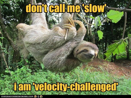 Velocity chalanged