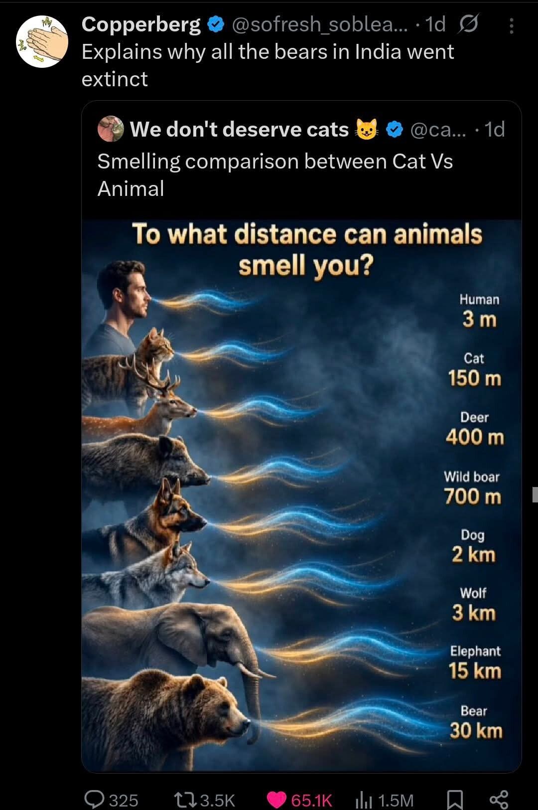 chat is this real