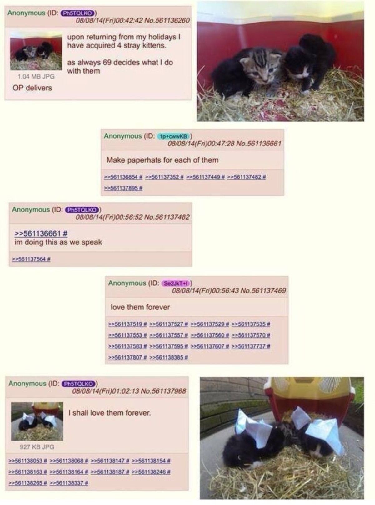 wholesome