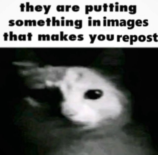 ***