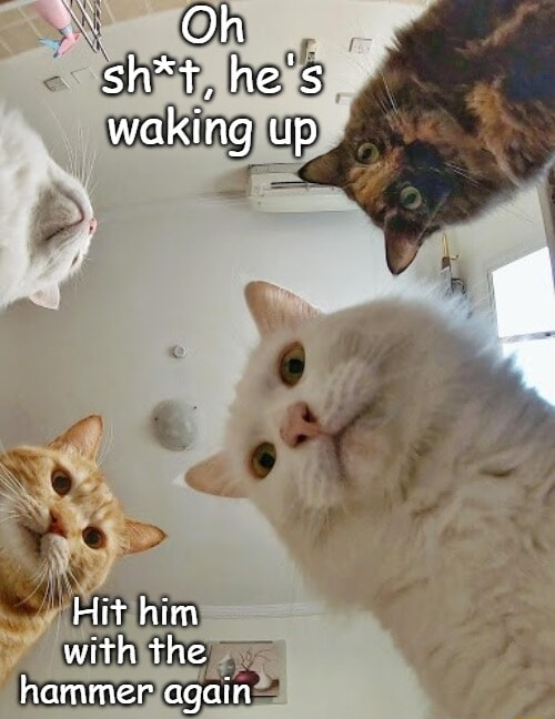 GN!