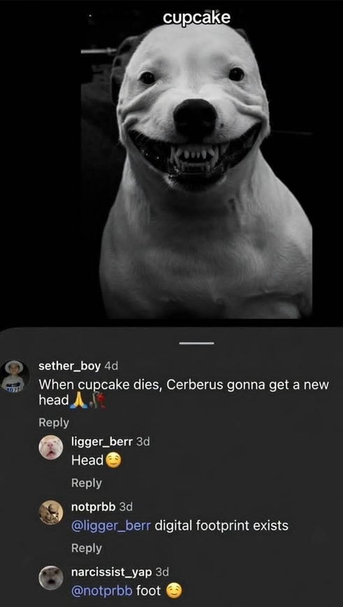 Breh