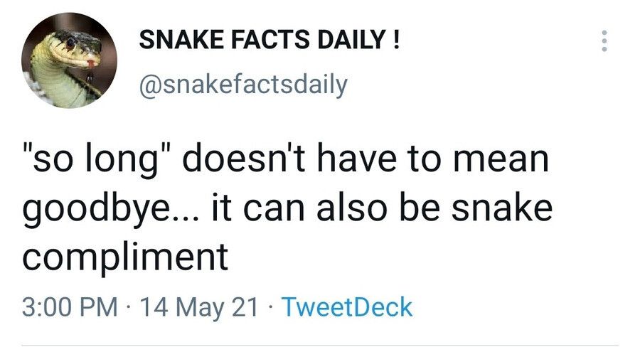 Sneky