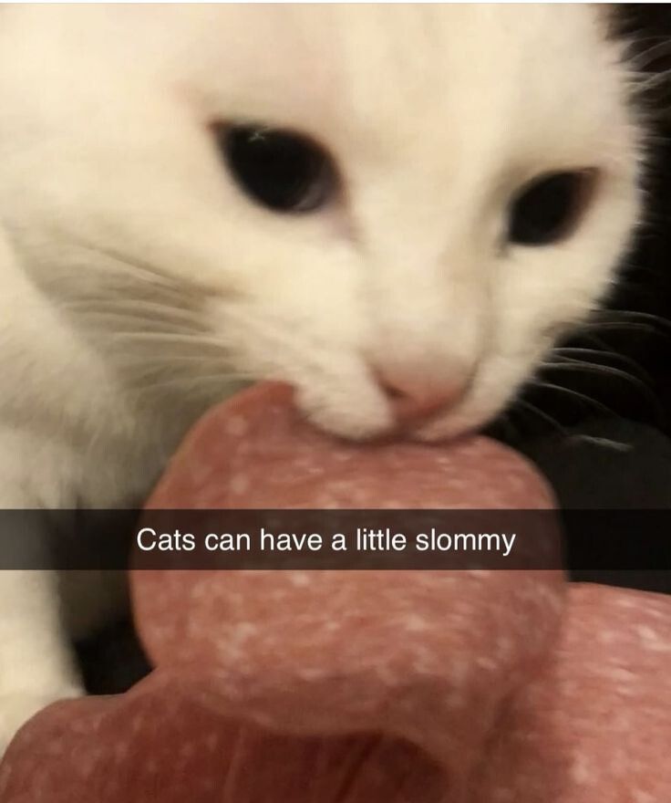 I checked it's ok