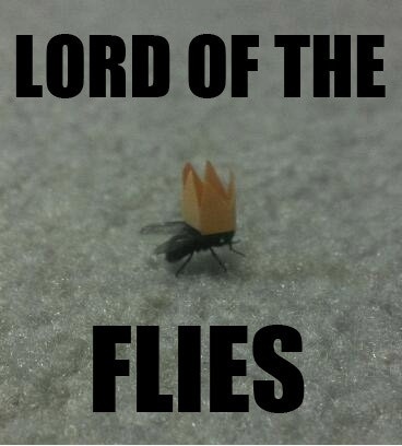 Lord of the Flies