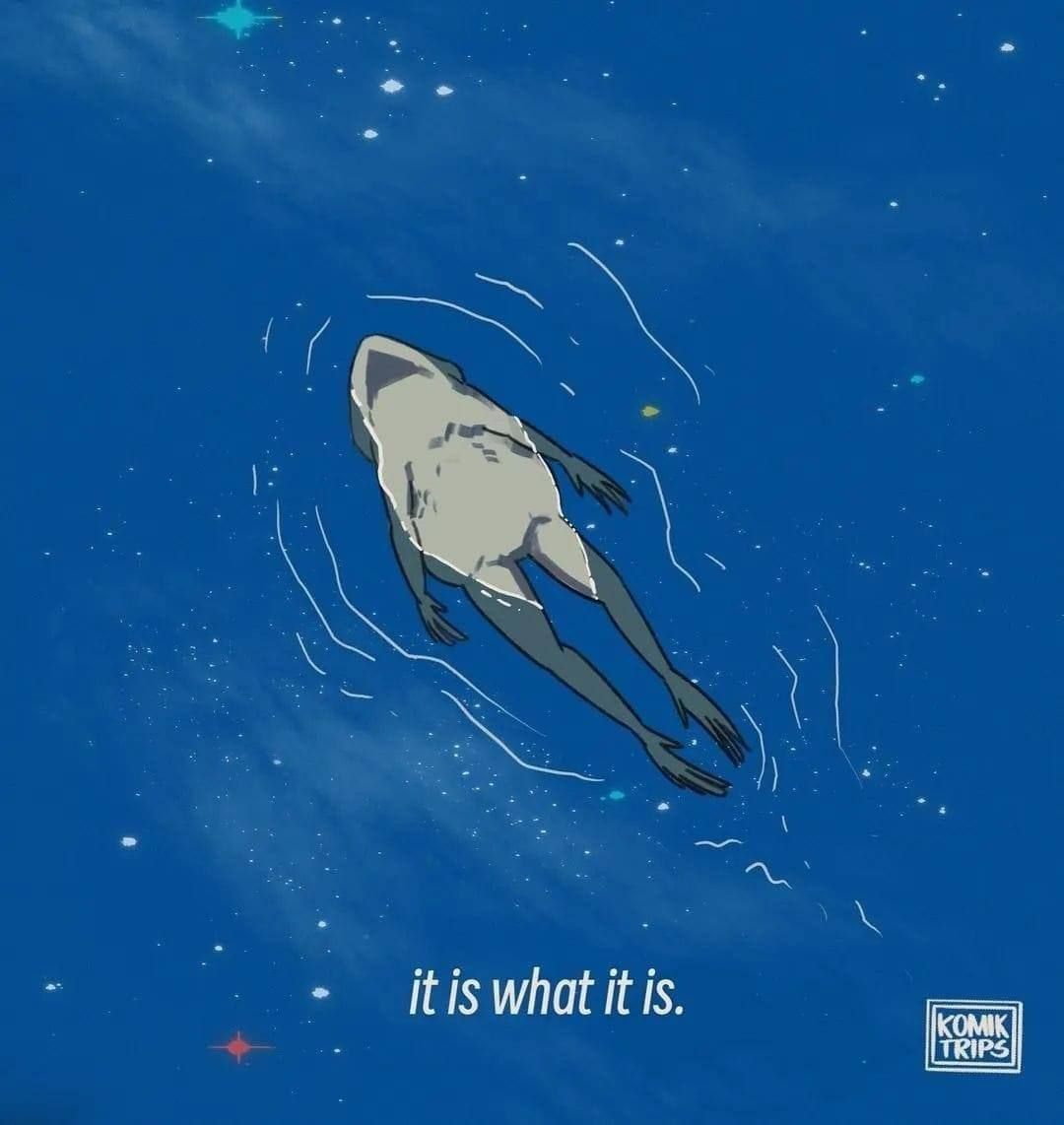 It is what it is on wednesday my dudes