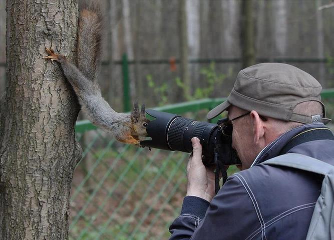 The Ridiculously Photogenic Squirrel...