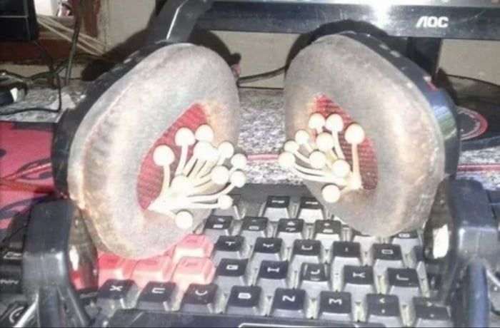 name the band he was listening to