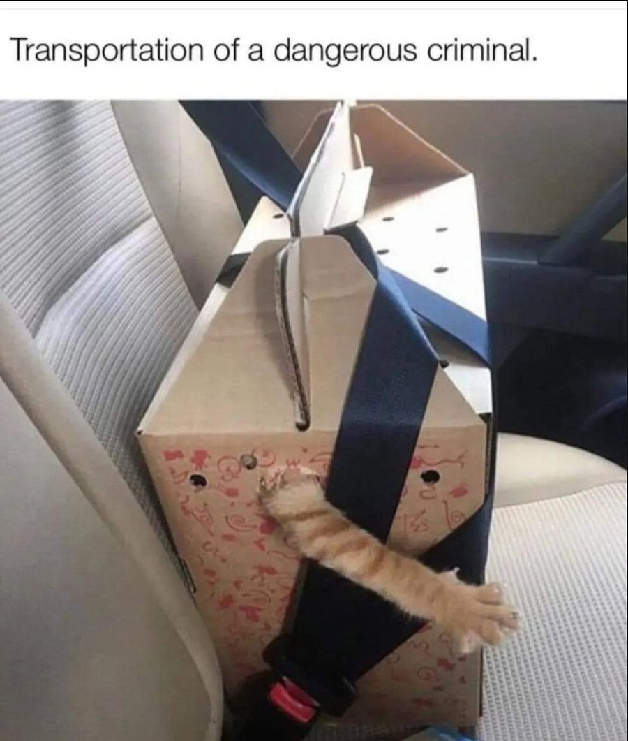 This box cannot contain me