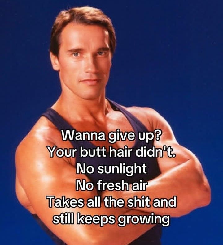Motivation you need