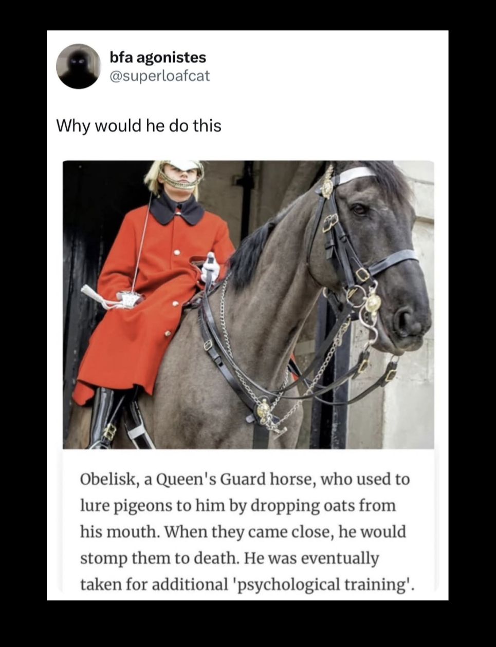 Good Horse