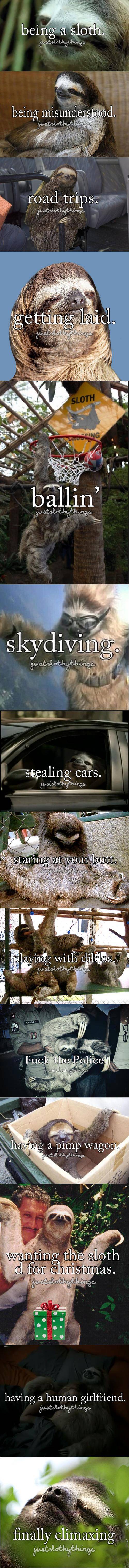 Sloth compilation