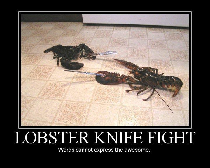 Seems legit.
