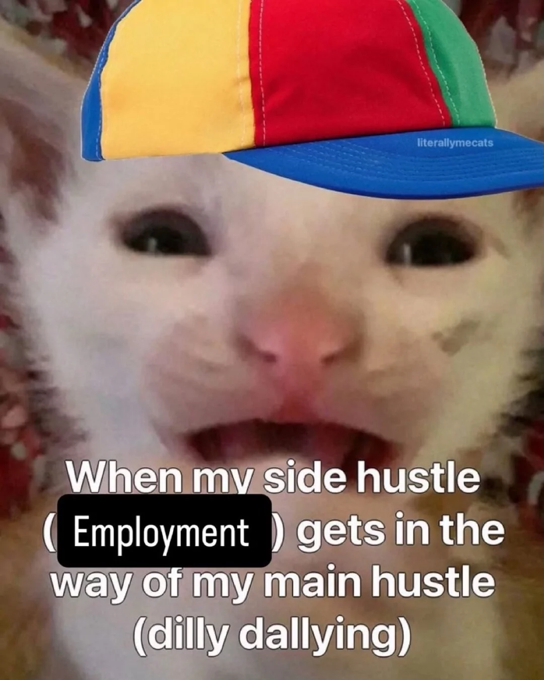 ⠀⠀⠀