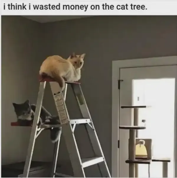 ***