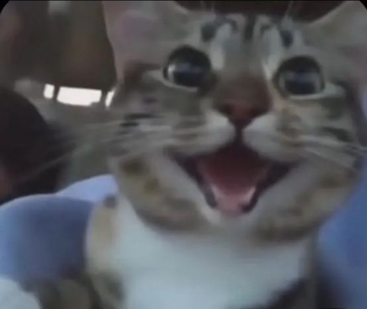 GM!