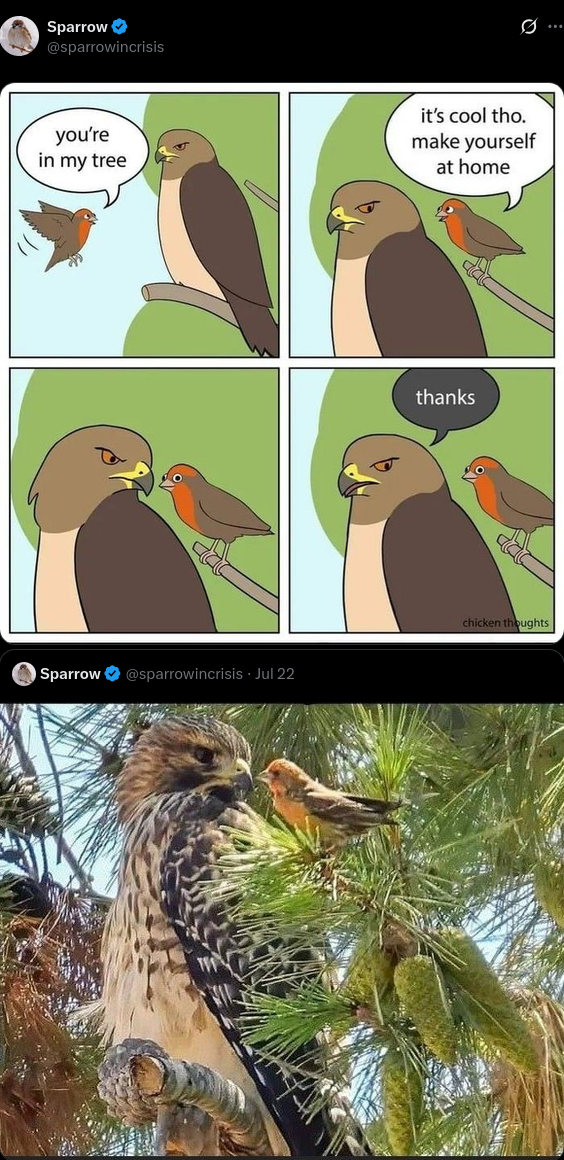 Fren to fren communication