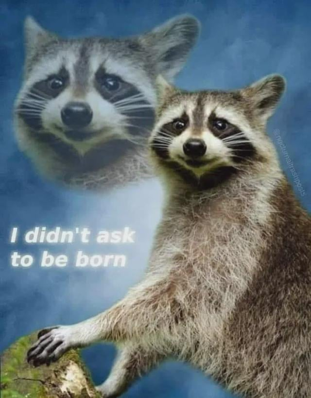 yes