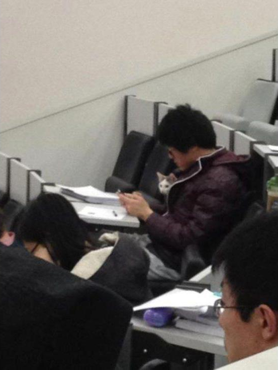 Meanwhile in class...