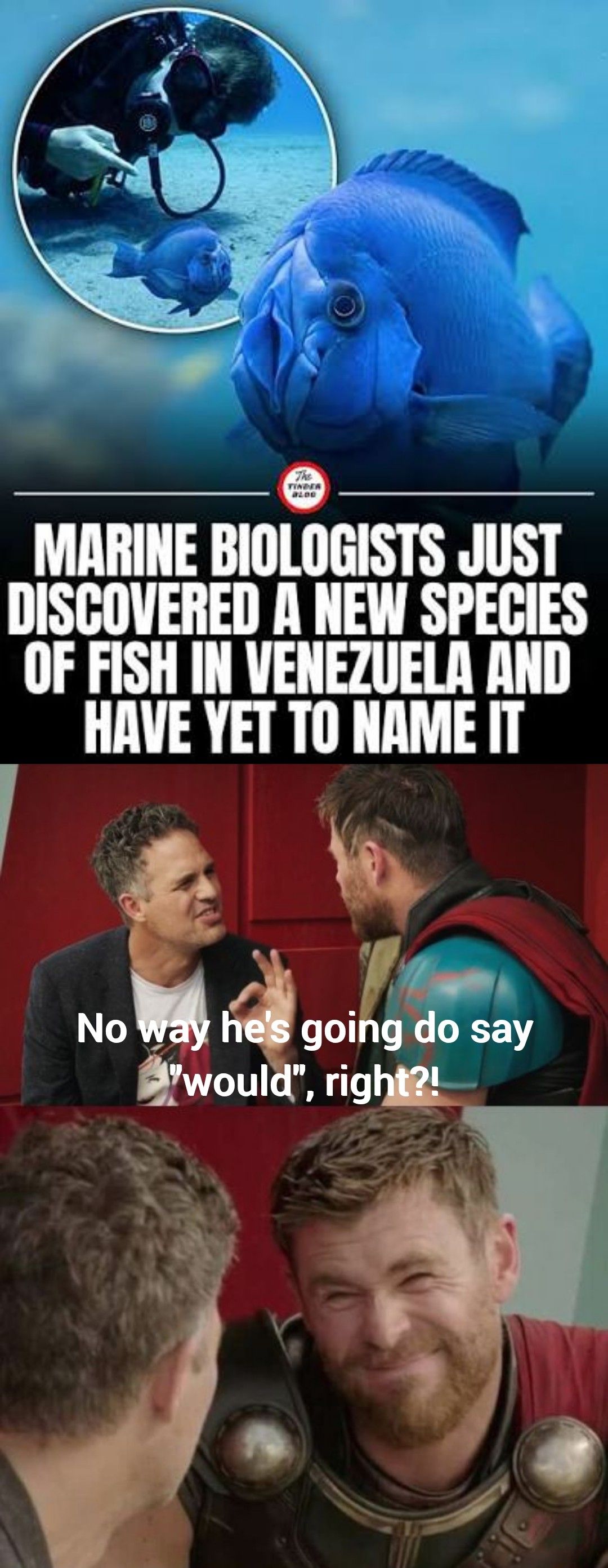 I'm sure he could