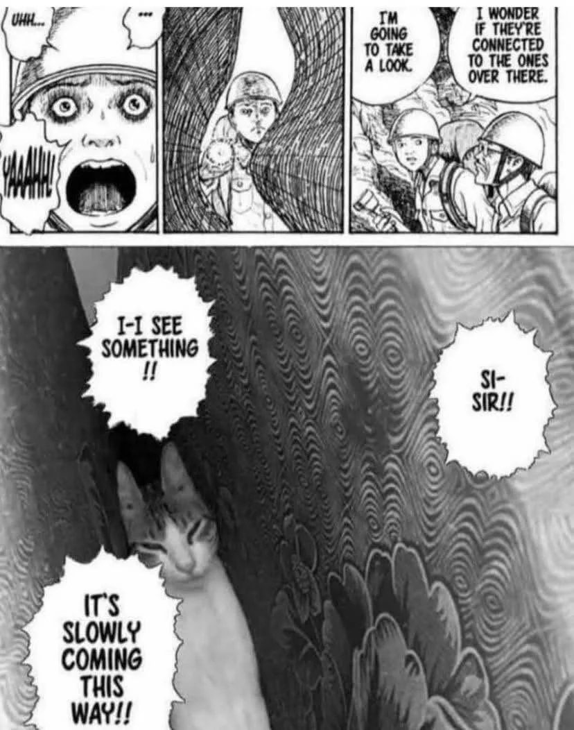 they allready dead