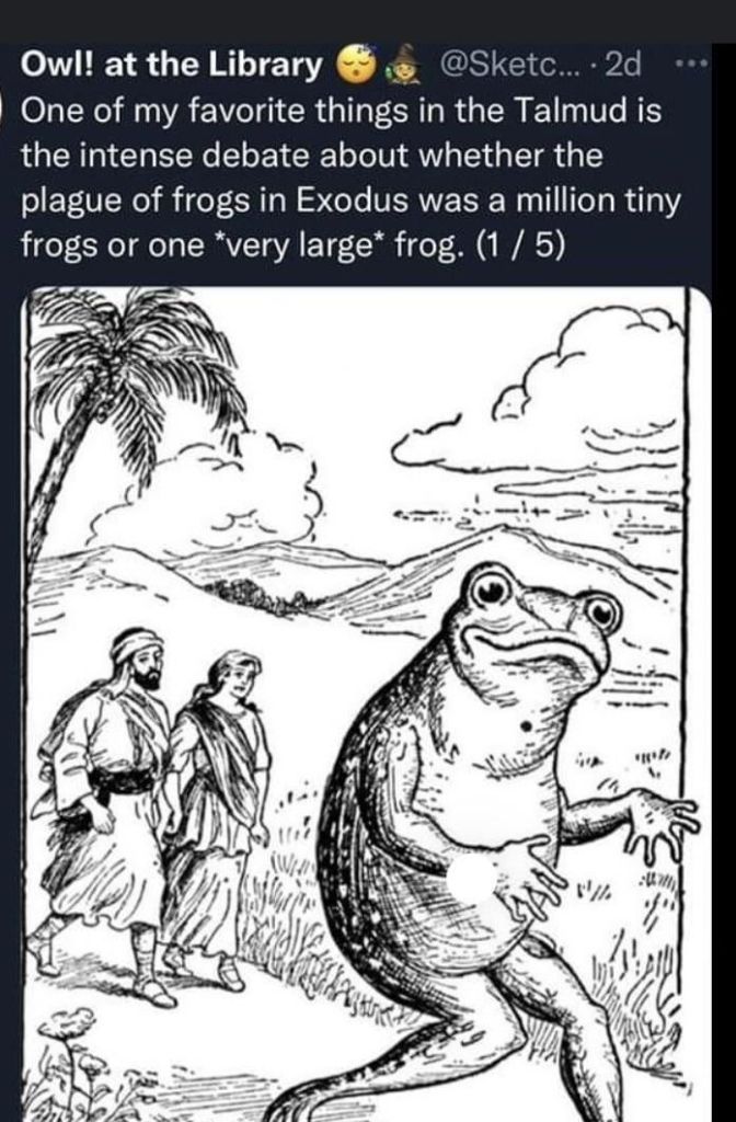Oy vey