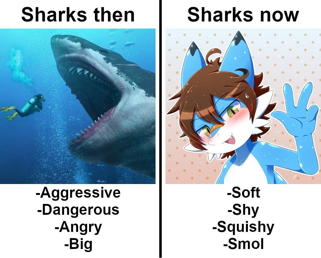 shadowelve can confirm