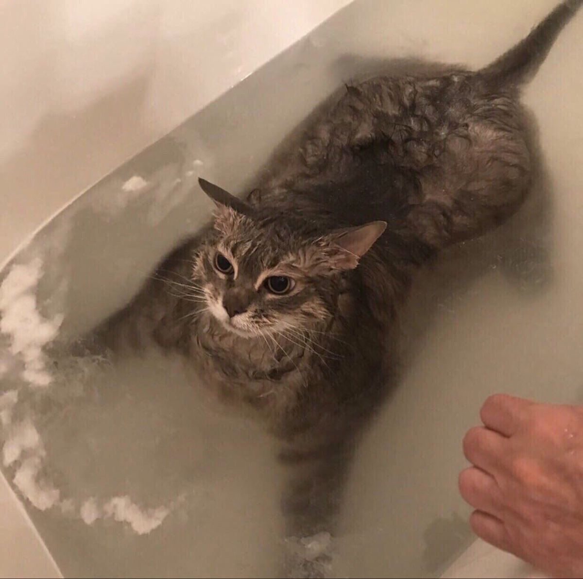 Grischnakh having a bath against his will
