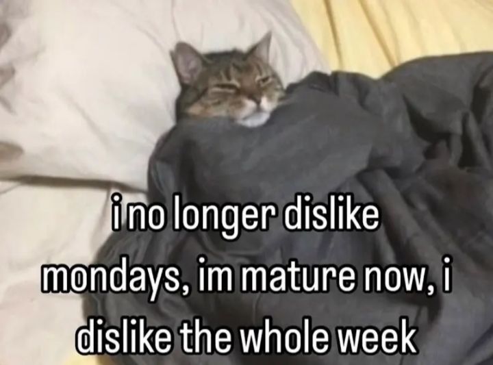 GN!