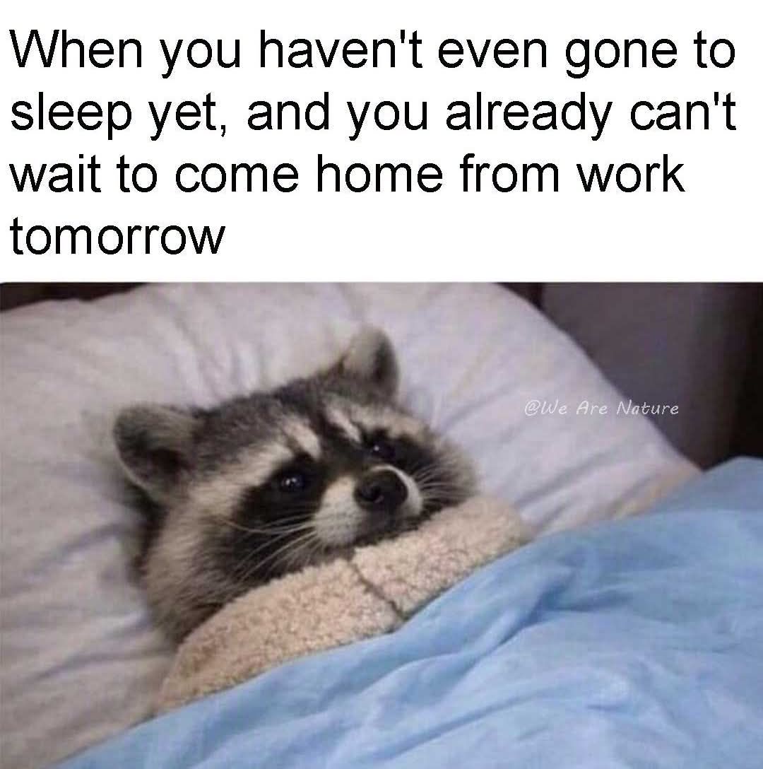 Gn!