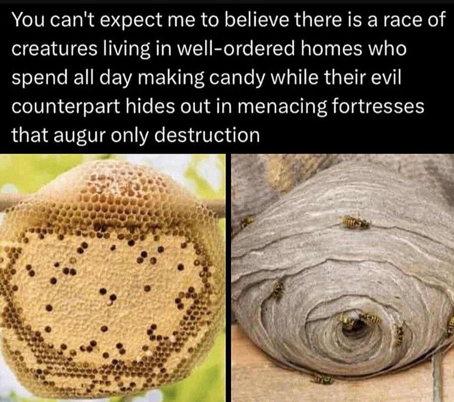 funny paper home