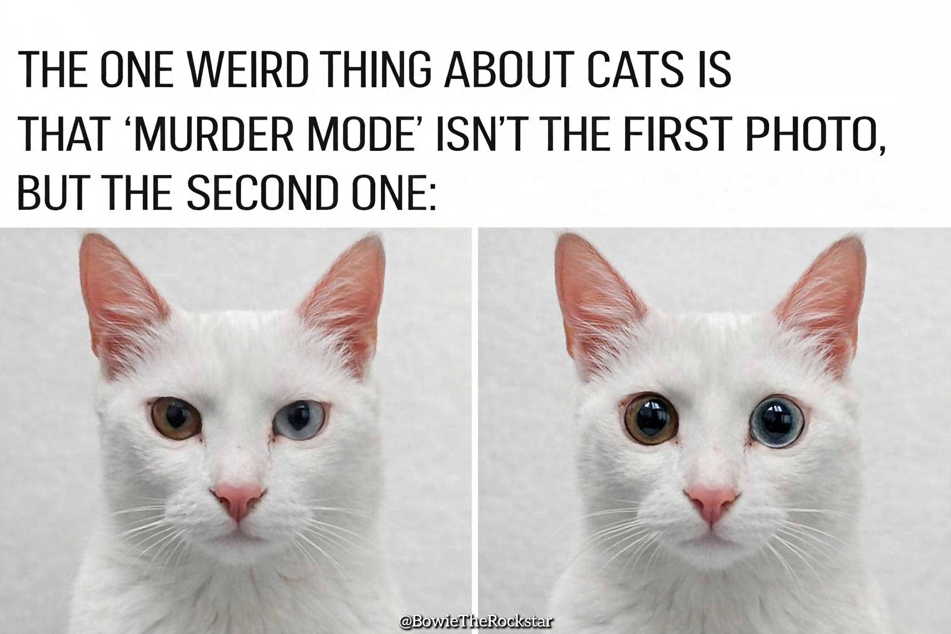 ***