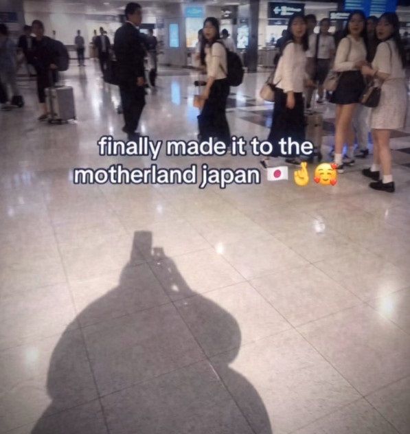 Flabzilla