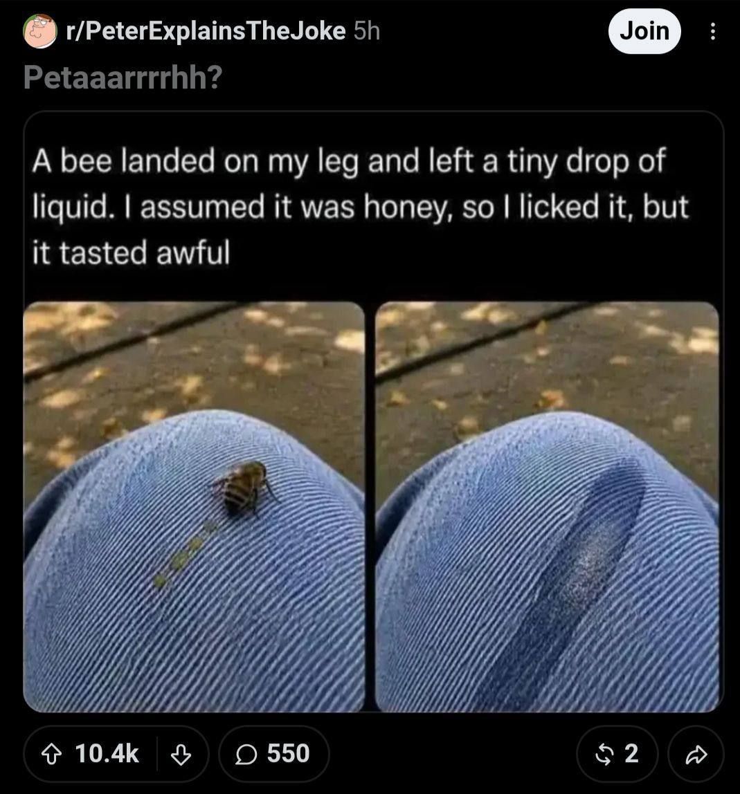 Oopsies