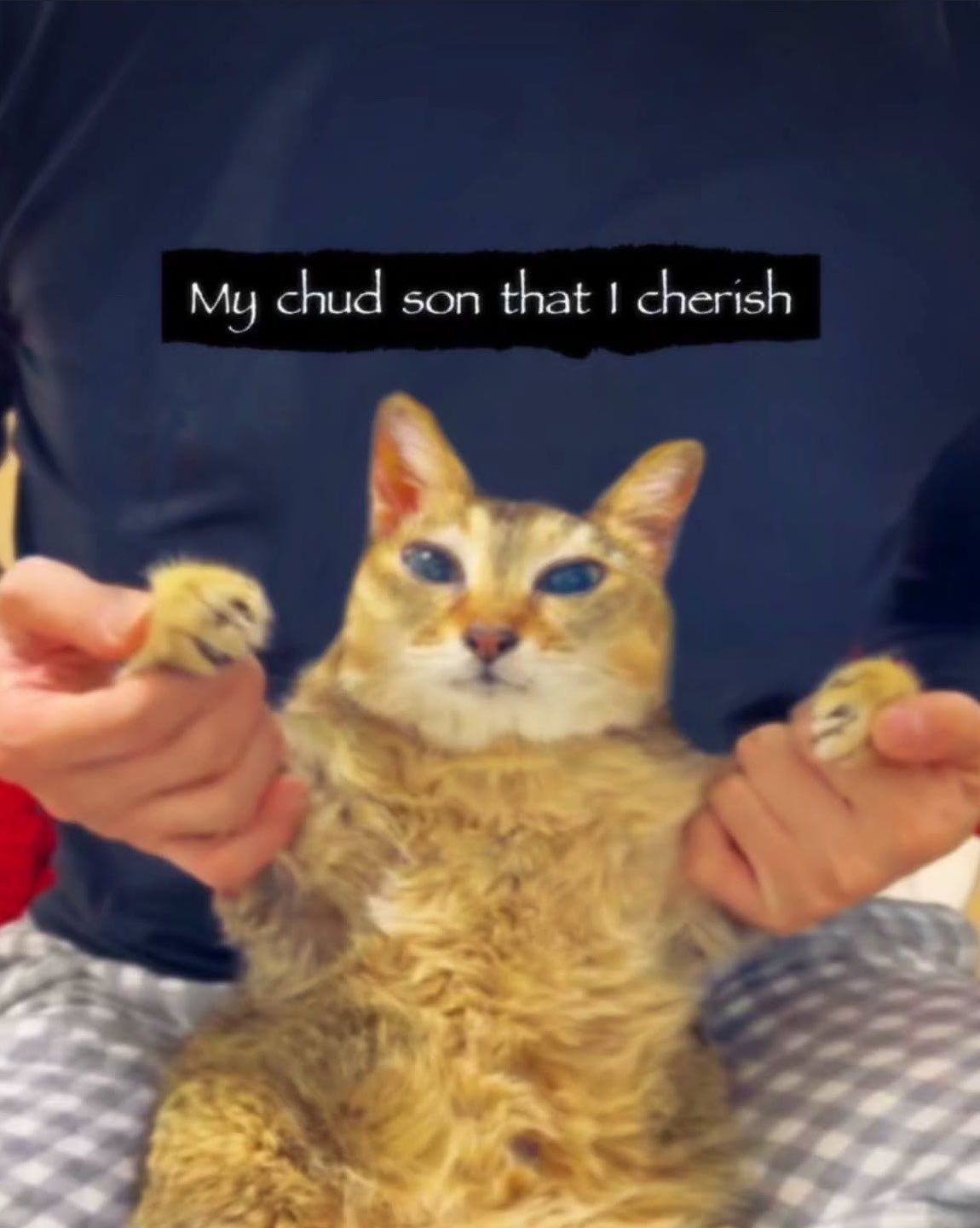 Nihlus