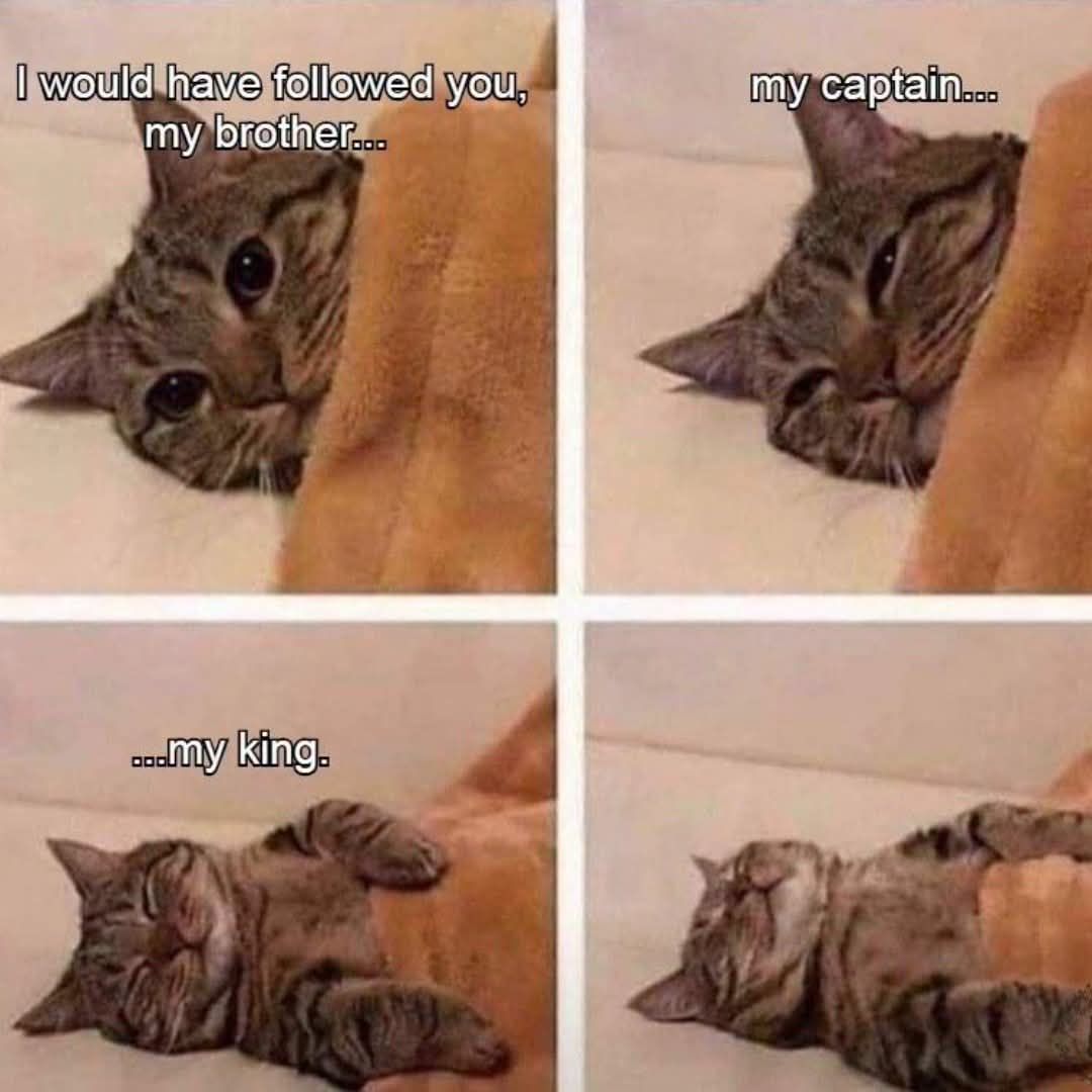 ***