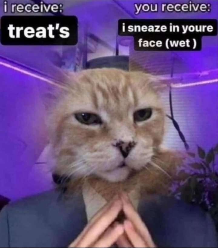 ⠀⠀⠀