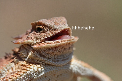 When i see funny posts.