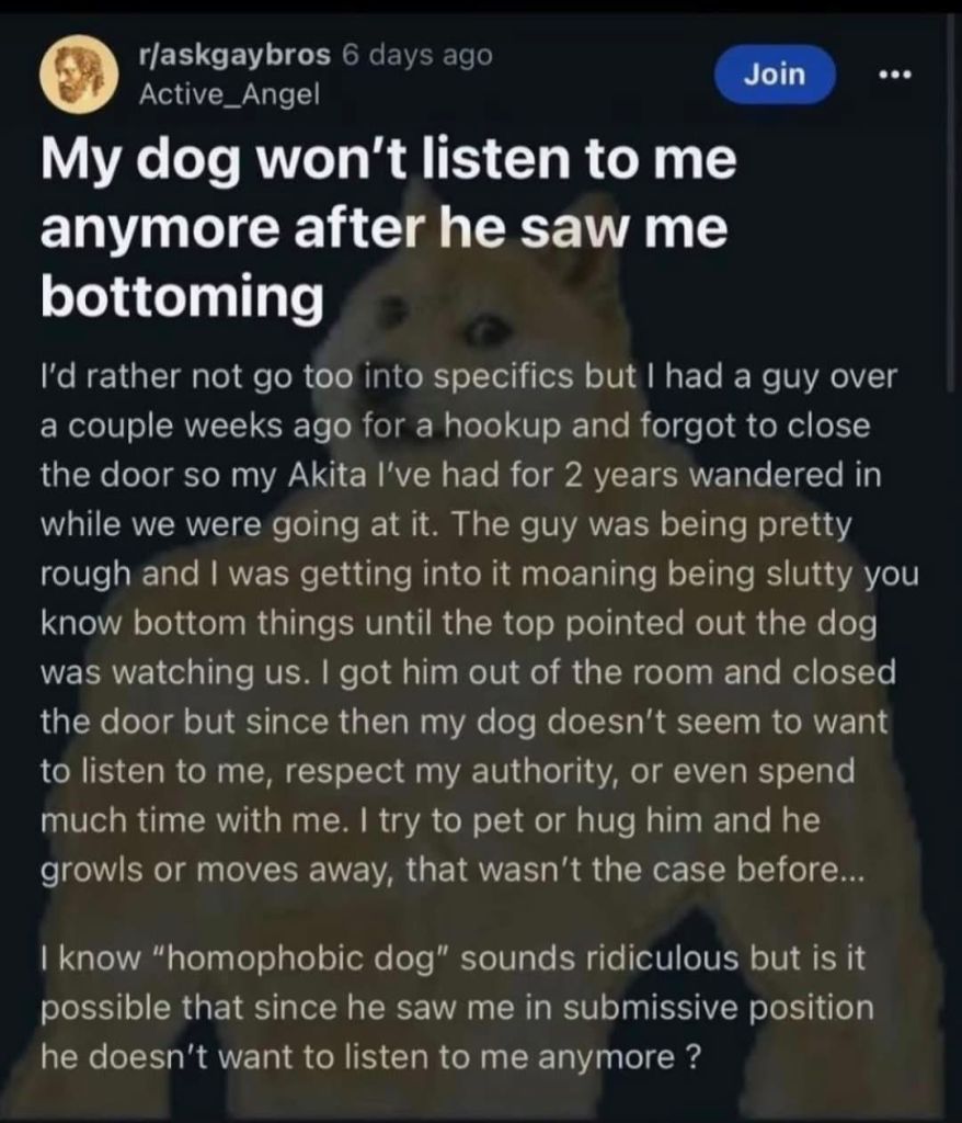 Based dogo