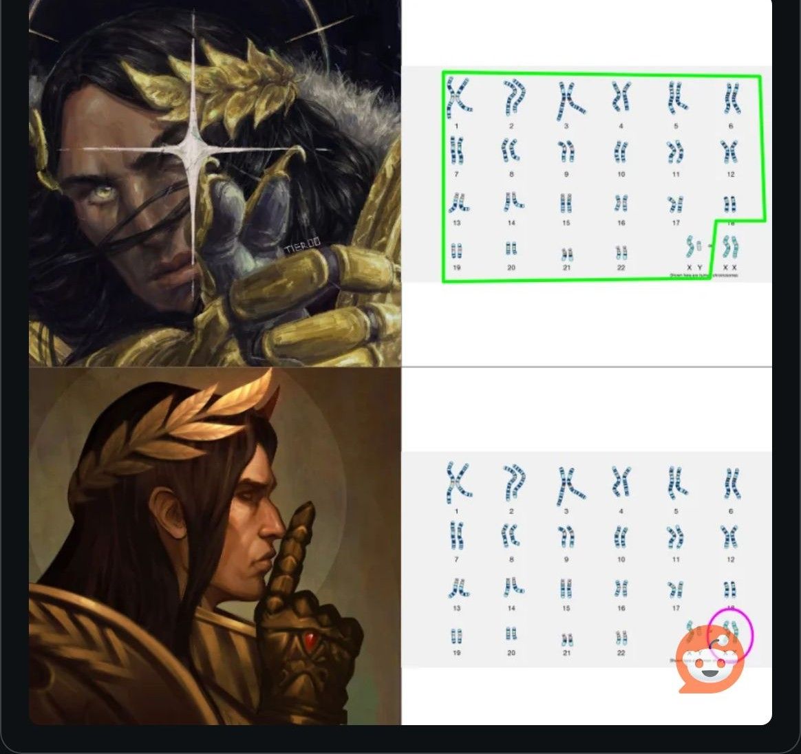 ...