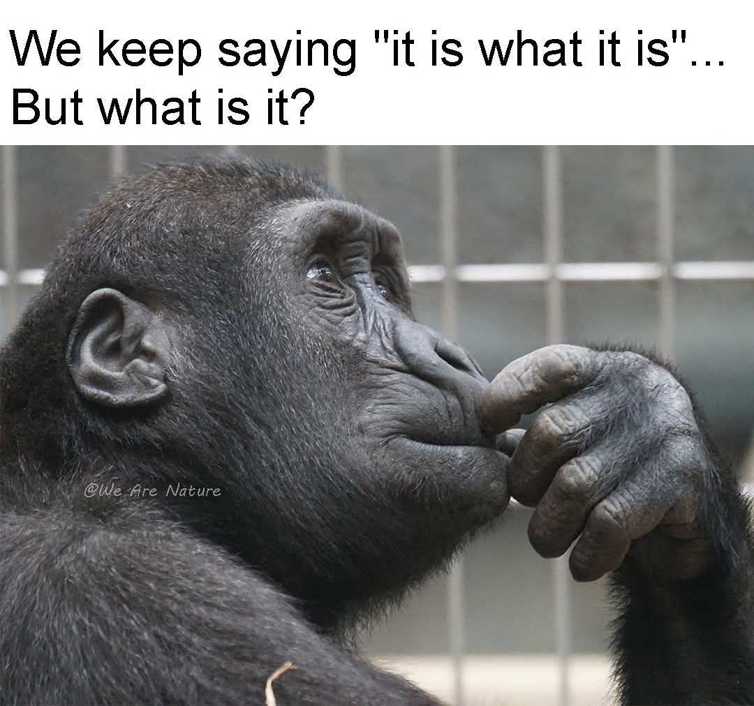 ***