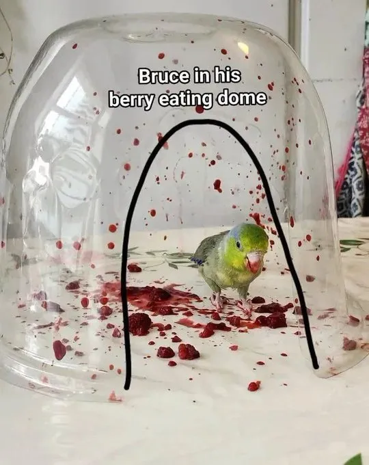 ***