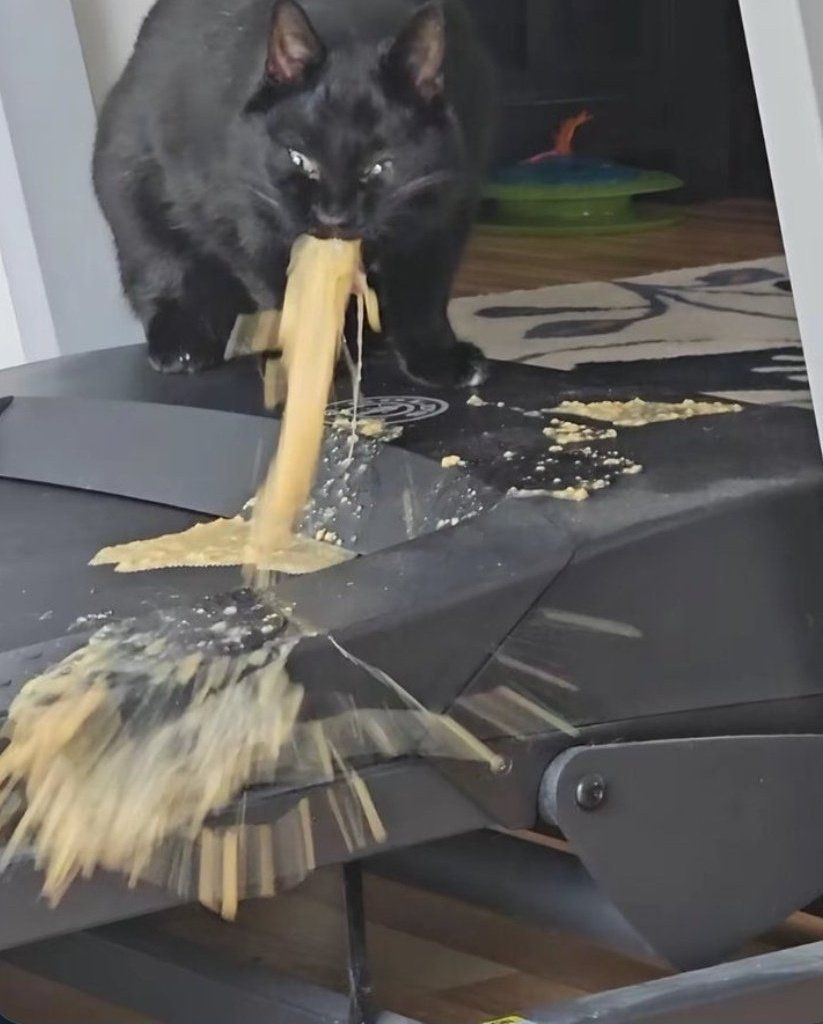***