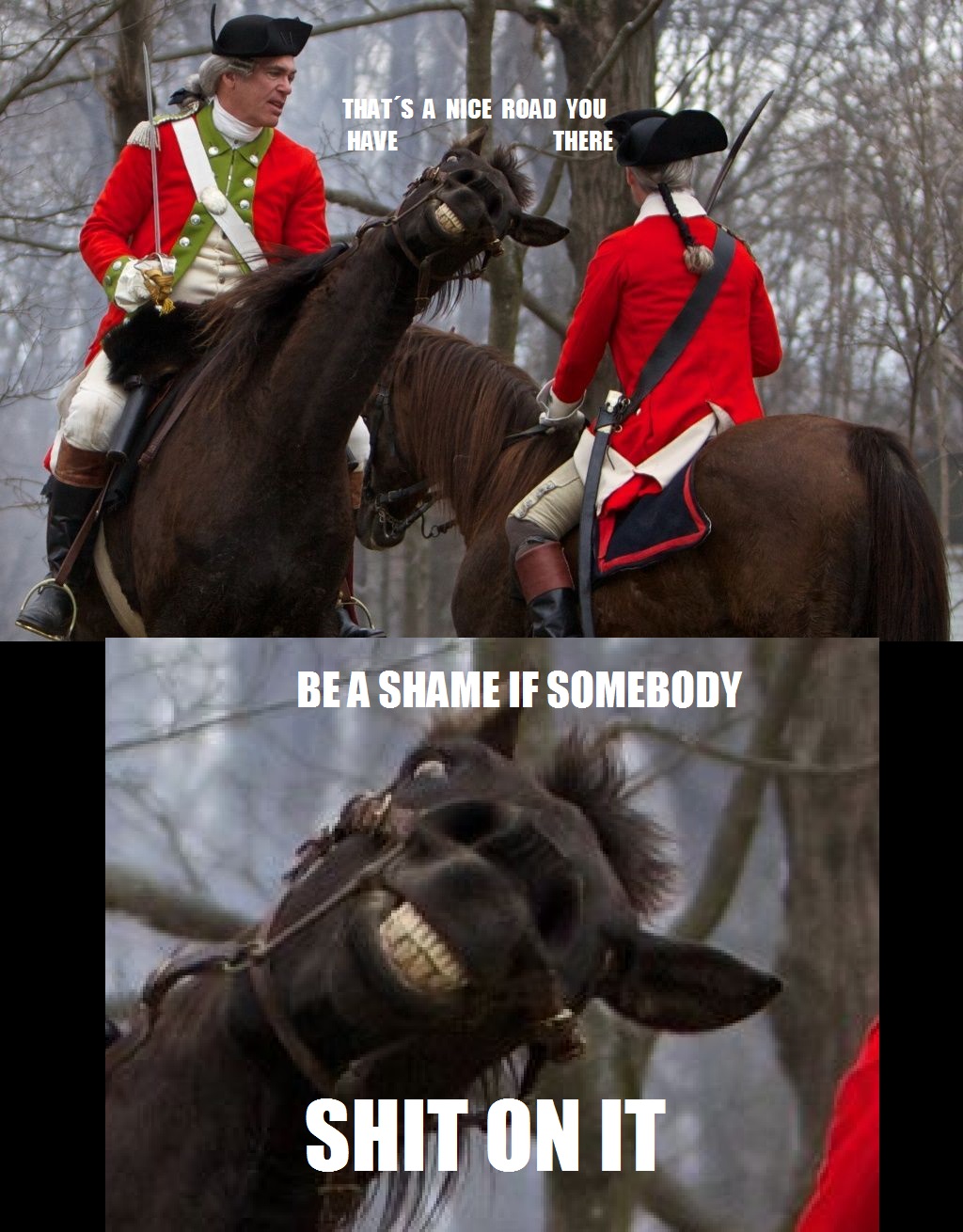 Bad horsie