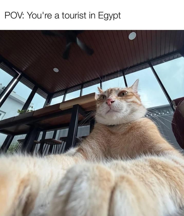 GM!