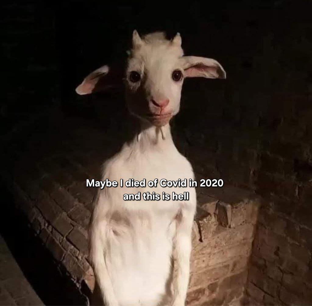 ⠀⠀⠀