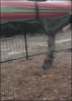 We?ll tie your arms inside the hammock, it?ll be fun, they said