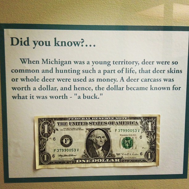 Why dollars are called bucks.