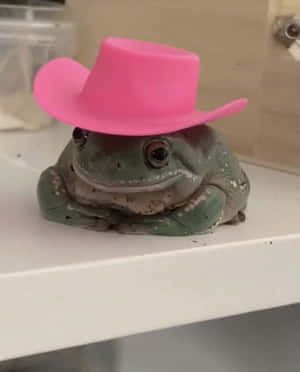Howdy partner, it is Wednesday